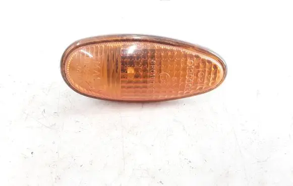 Front fender indicator light