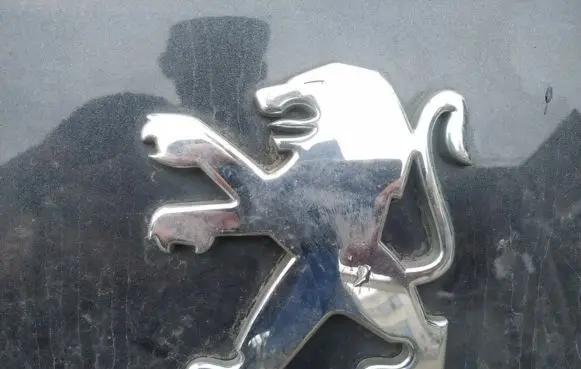 Peugeot 607 Manufacturer badge logo/emblem 