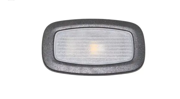 Mercedes-Benz A W176 Front seat light A0009064304