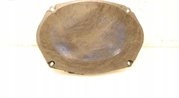 Rear door speaker