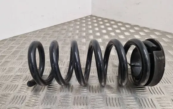 Rear coil spring