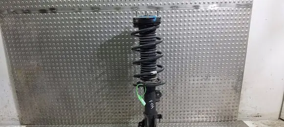 Ford Puma Front shock absorber/damper S18031648 L1TC18K001BD
