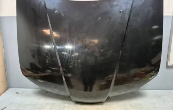 Engine bonnet/hood