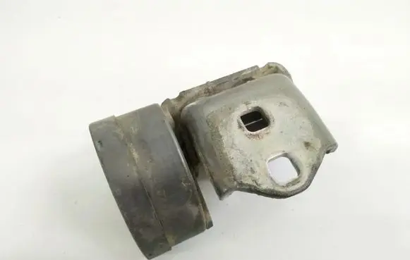 Renault Megane II Rear door lower hinge 17003