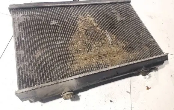Nissan Almera Tino Coolant radiator 