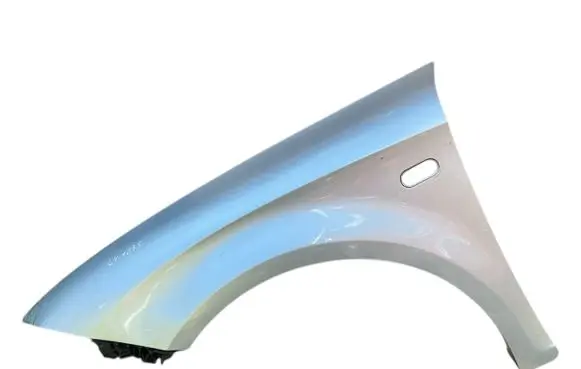 Seat Leon (1P) Fender