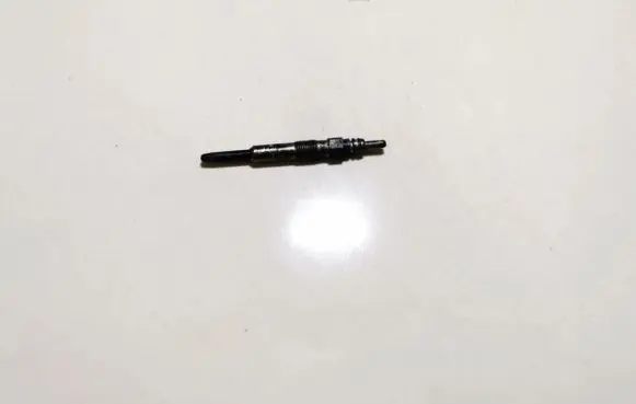 Renault Scenic I Glow plug 0250202022