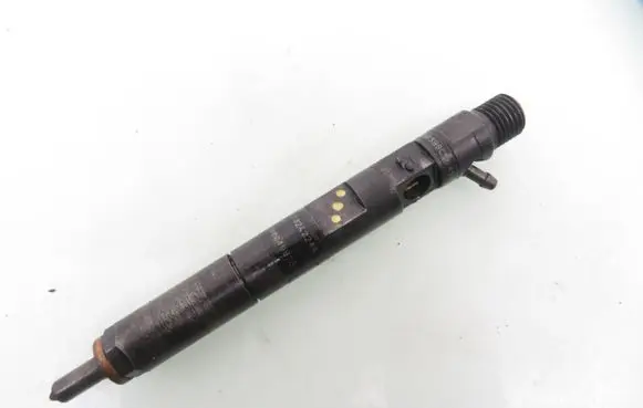Renault Kangoo I Fuel injector 8200049876 8200240244 EJBR02101Z
