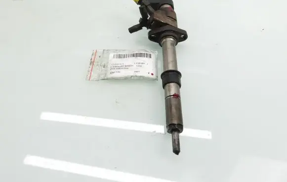 Citroen C5 Fuel injector 9658194180