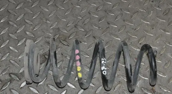 Rear coil spring