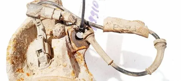 Other wiring loom