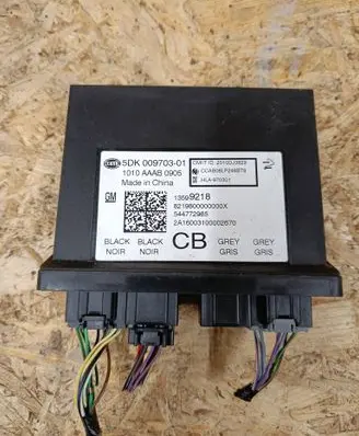 Opel Insignia A Keyless (KESSY) go control unit/module 5DK00970301 544772965 13599218