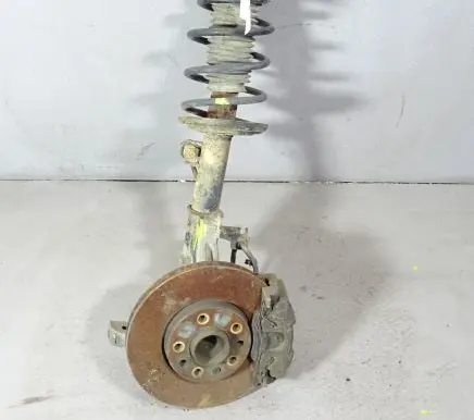 Opel Signum Front shock absorber with coil spring