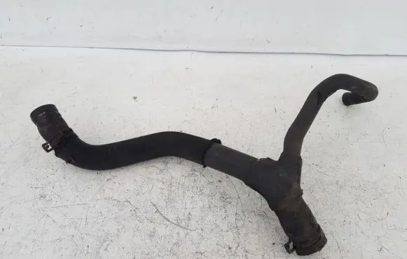 Renault Scenic RX Engine coolant pipe/hose