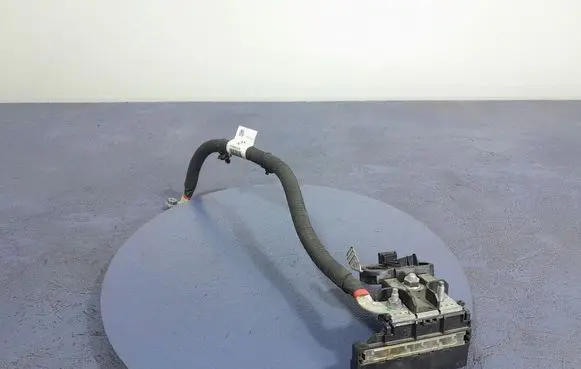 Renault Arkana Other wiring loom 297D50100R