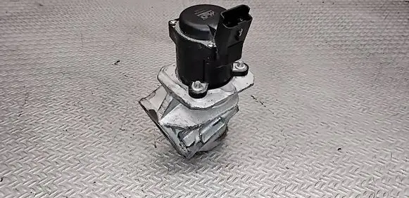 Ford Focus EGR valve 330690755