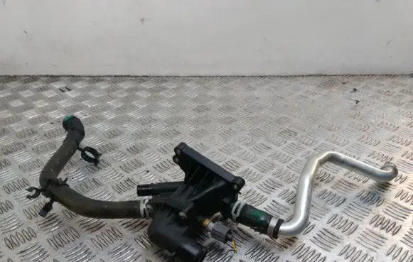 Thermostat/thermostat housing