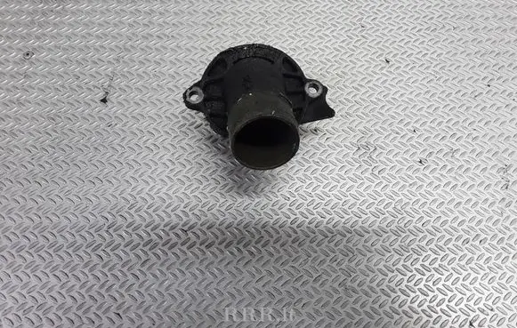 Thermostat/thermostat housing