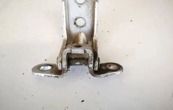 KIA Carens II Rear door lower hinge