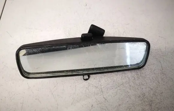 Nissan Juke I F15 Rear view mirror (interior) E20205028