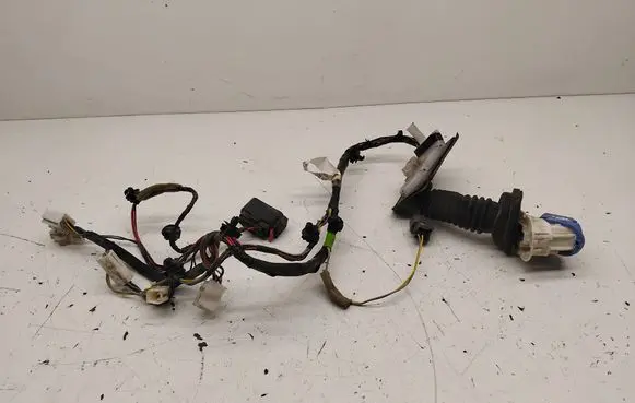 Front door wiring loom