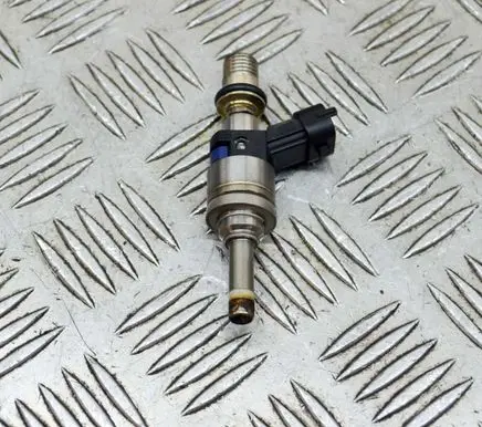 Porsche Cayenne (92A) Fuel injector 94811012822 103507514