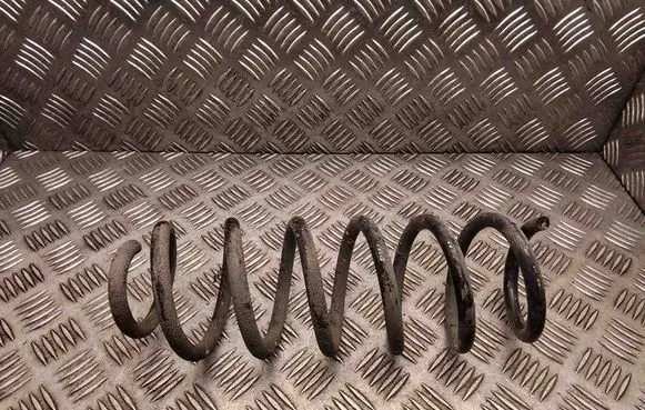 Rear coil spring