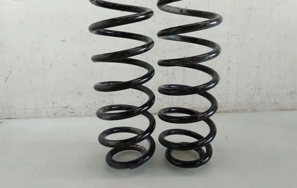 Volkswagen Golf V Rear coil spring