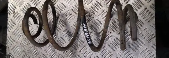 Front coil spring