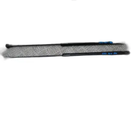 Tailgate strut