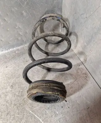 Rear coil spring