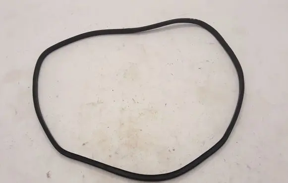 Renault Scenic IV - Grand scenic IV Rear door rubber seal (on body) 769233609R