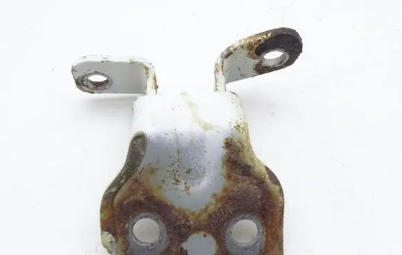 Ford Ranger Rear door hinge set 
