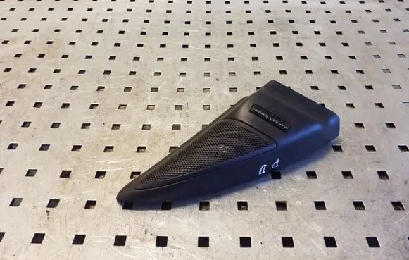 Front door high frequency speaker