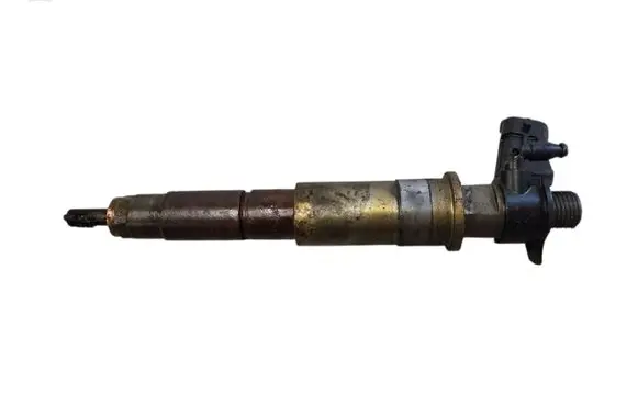 Renault Laguna III Fuel injector 0445115007 H82409398