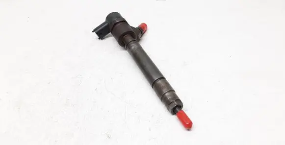 Volvo V70 Fuel injector 0445110298 30777526 57P8M3I6