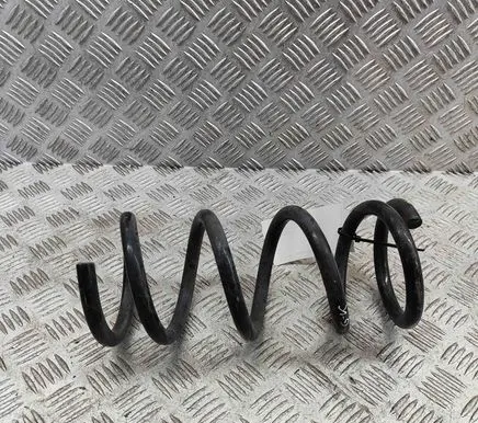 Rear coil spring