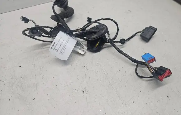 Front door wiring loom