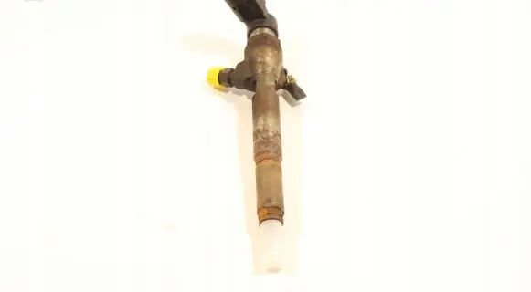 Renault Laguna III Fuel injector H8200294788