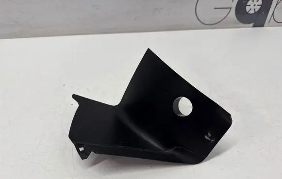 Rear/tail light trim molding