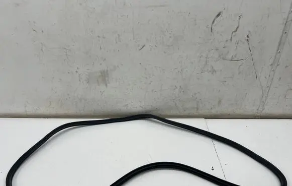 KIA Stinger Rear door rubber seal (on body) 