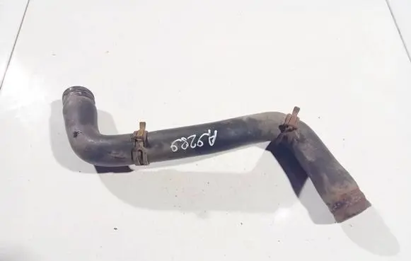 Renault Scenic I Engine coolant pipe/hose