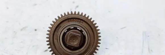 BMW 4 F36 Gran coupe Timing chain sprocket 8660084