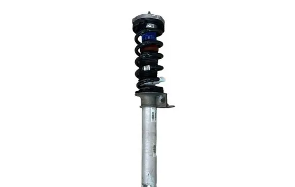 BMW 6 F06 Gran coupe Front shock absorber with coil spring 2284845 31312284845 10541310