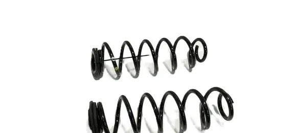 Rear coil spring