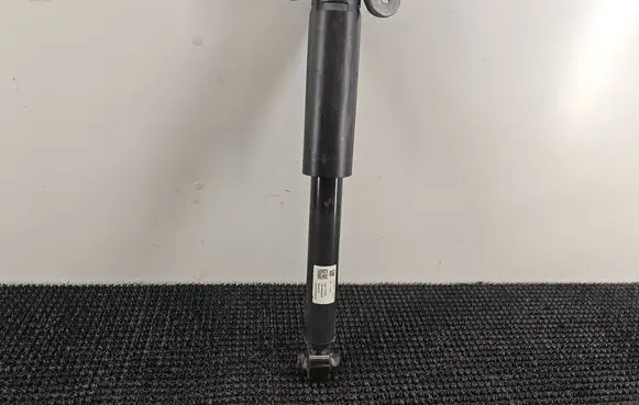 Chevrolet Malibu Rear shock absorber/damper 84365888 220300000000N 548683657