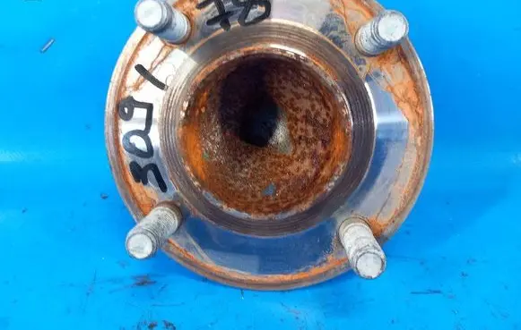 Ford Ecosport Rear wheel bearing hub ACPZ1109F