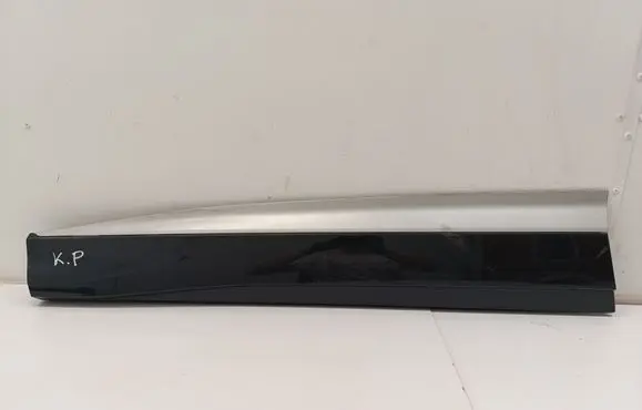 Front door trim (molding)