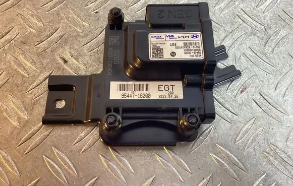 KIA EV6 Other control units/modules 9544718200
