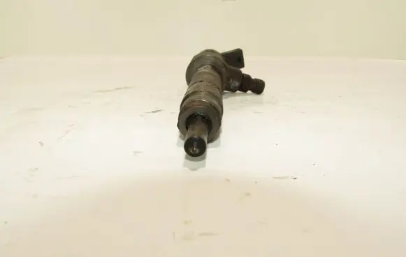 Fiat Punto (188) Fuel injector 0445110019